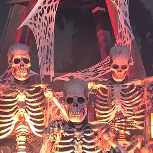 Meet your Posher, Sam